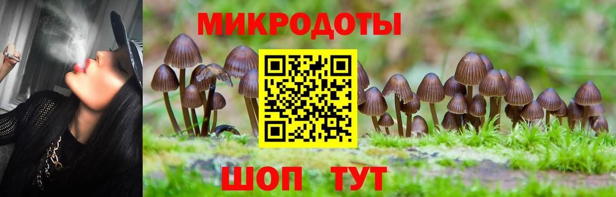 Галлюциногенные грибы Psilocybine cubensis Волжский